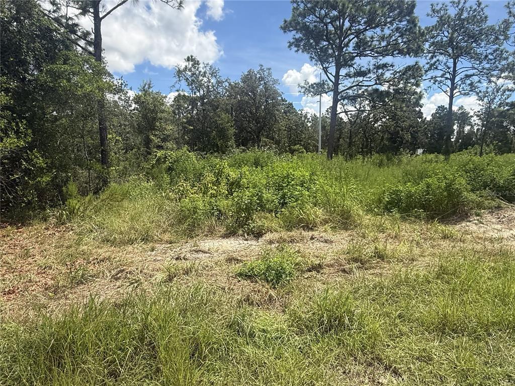 12220 MARVELWOOD ROAD, WEEKI WACHEE, FL — photo 2 of 6