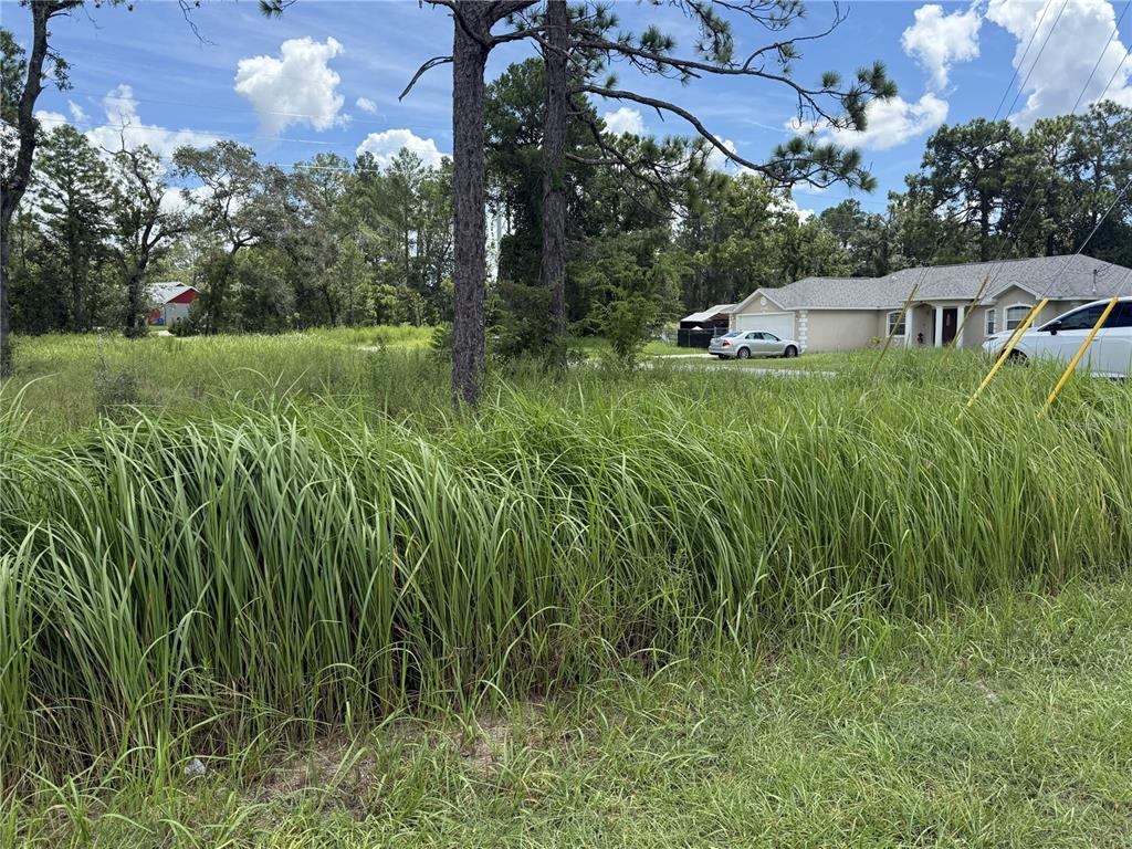12220 MARVELWOOD ROAD, WEEKI WACHEE, FL — photo 4 of 6