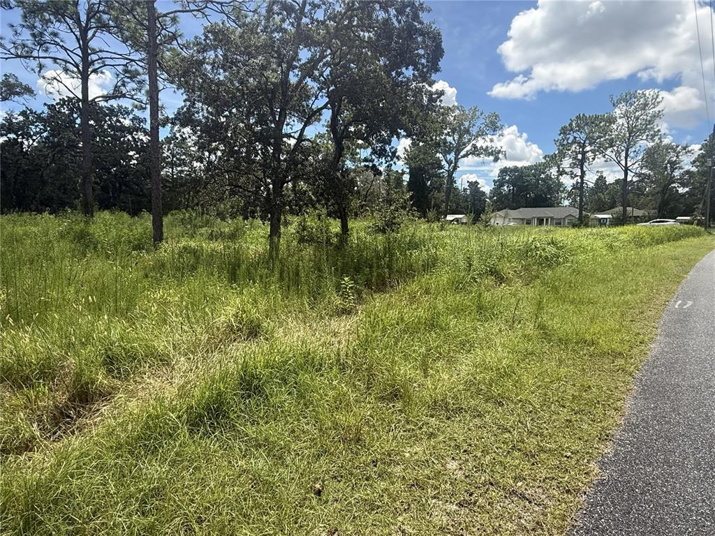 12220 MARVELWOOD ROAD, WEEKI WACHEE, FL — photo 5 of 6