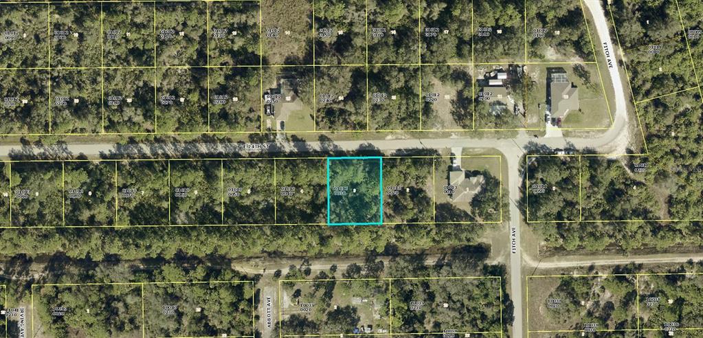 This is an aerial map showing a vacant, rectangular lot highlighted in blue among wooded parcels — 4240 E 24TH STREET, ALVA, FL