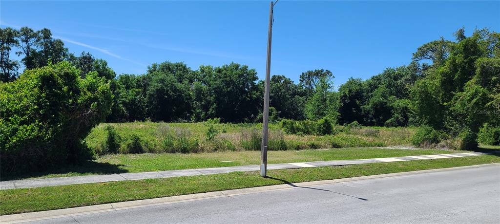 A vacant, grassy lot with a sidewalk and utility pole sits beside a wooded area — 0 WOOD DOVE AVENUE, TARPON SPRINGS, FL