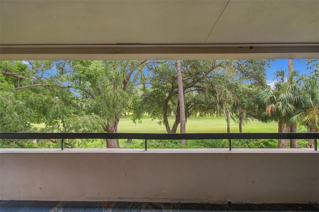 36750 US HIGHWAY 19 N UNIT 19201, PALM HARBOR, FL — photo 2 of 77