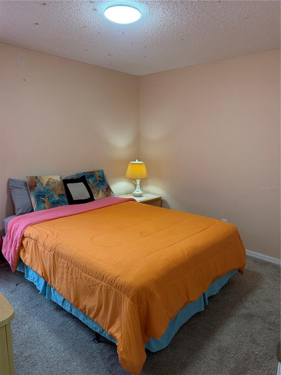 1109 HILL MOUNT DRIVE, MINNEOLA, FL — photo 3 of 7