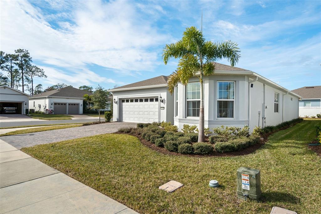 A single-story house with a white exterior, a paved driveway, and a palm tree in front — 13360 SUNNY RETREAT LANE, WINTER GARDEN, FL