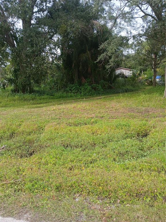 A grassy, undeveloped lot features scattered trees and dense vegetation under a clear sky — 18565 N 16TH AVENUE E, ORLANDO, FL