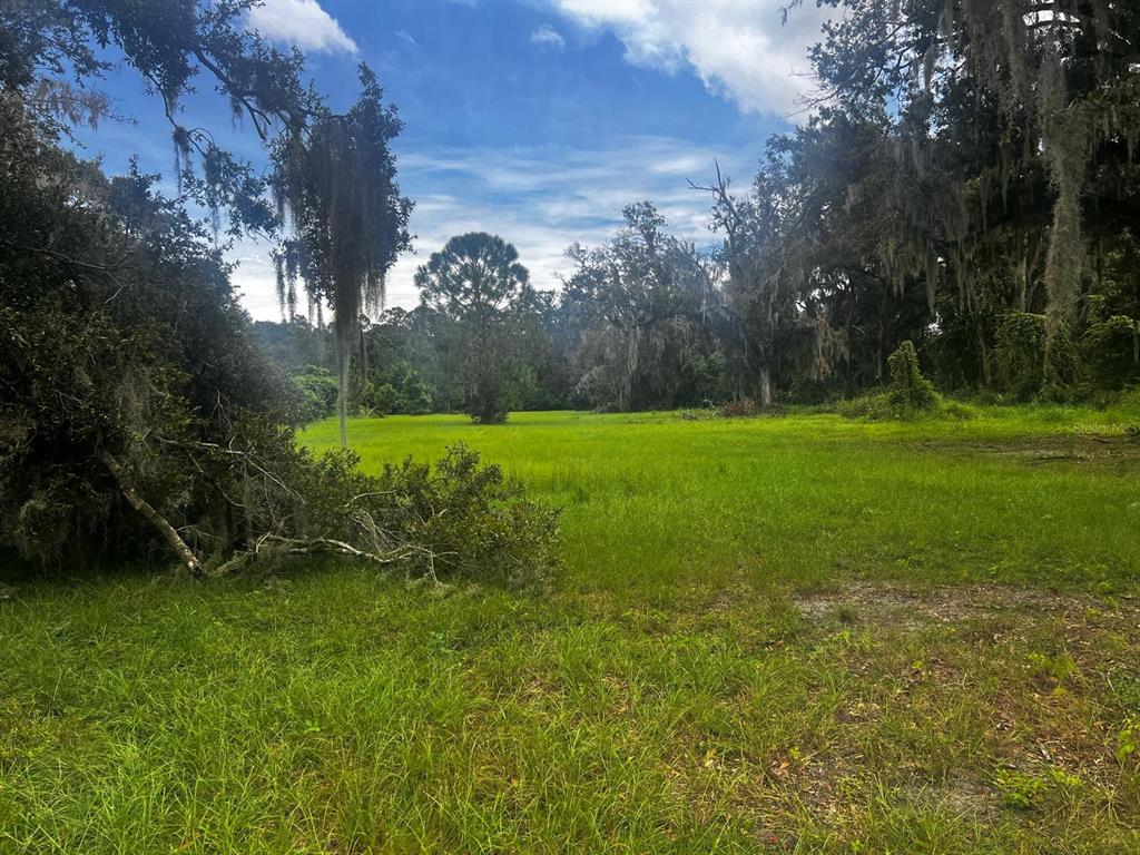 1308 N SHANNON AVENUE, PLANT CITY, FL — photo 2 of 5