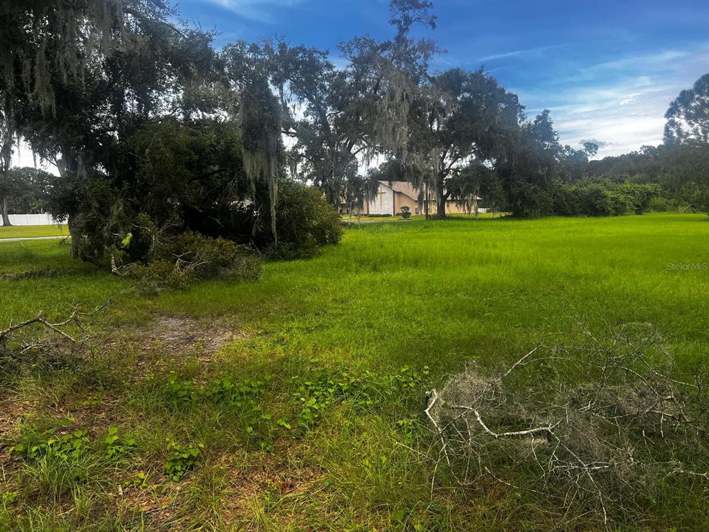 1308 N SHANNON AVENUE, PLANT CITY, FL — photo 3 of 5