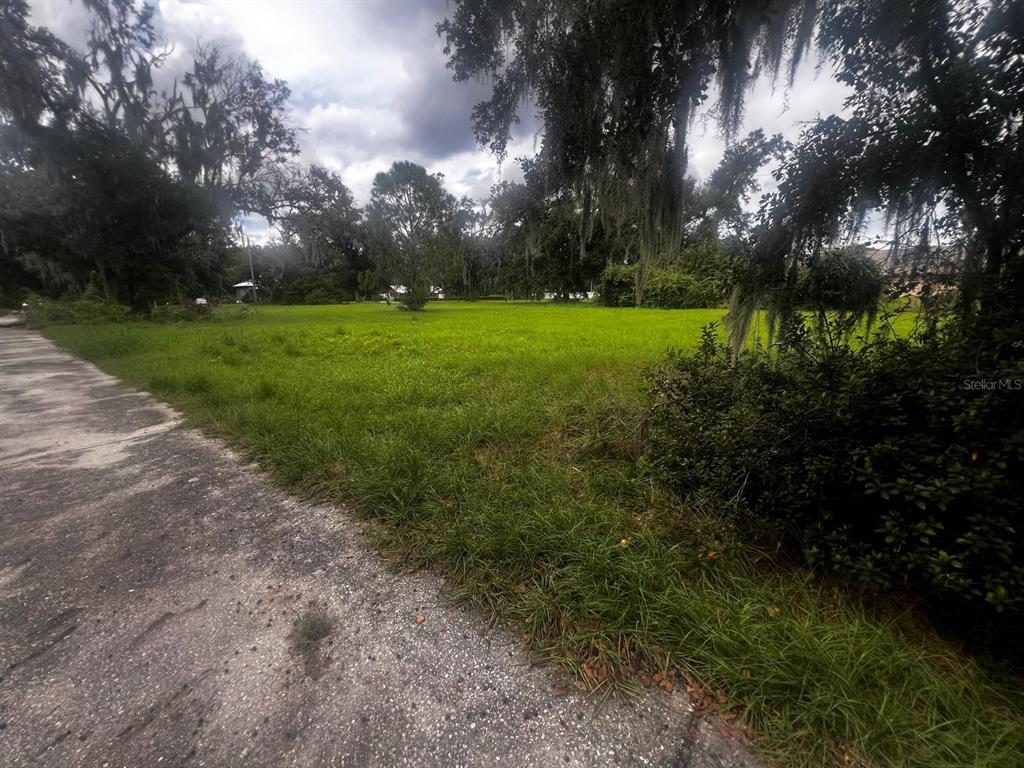 1308 N SHANNON AVENUE, PLANT CITY, FL — photo 4 of 5