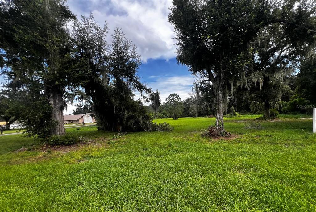 1308 N SHANNON AVENUE, PLANT CITY, FL — photo 5 of 5