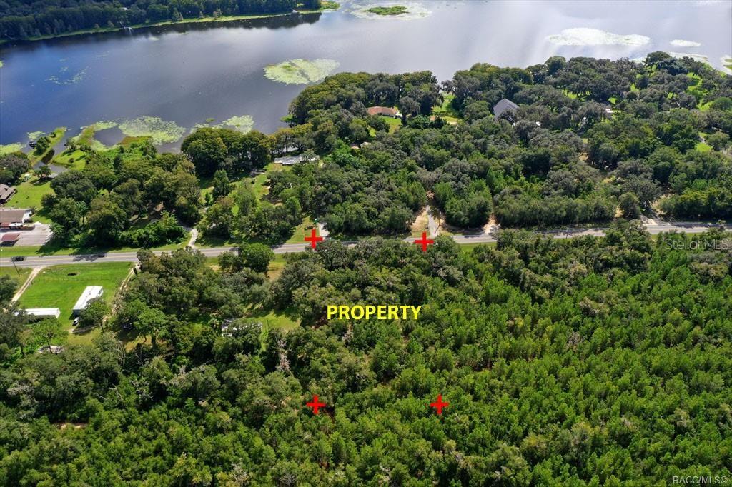 5656 N CARL G ROSE HIGHWAY, HERNANDO, FL — photo 3 of 6