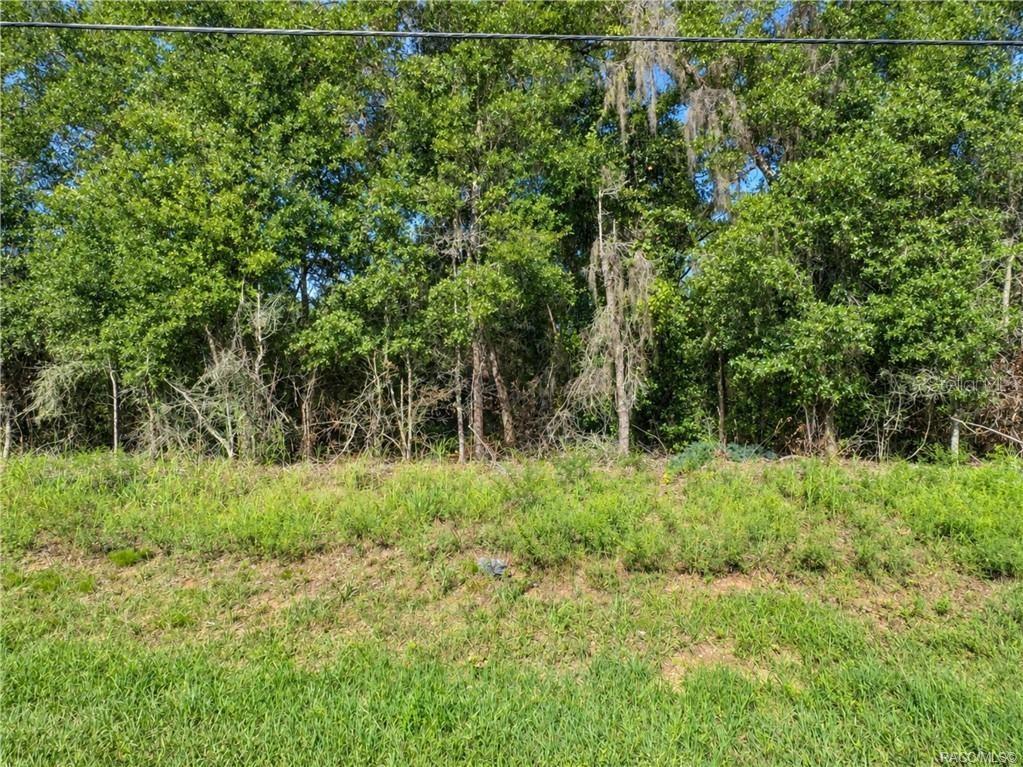 5656 N CARL G ROSE HIGHWAY, HERNANDO, FL — photo 5 of 6