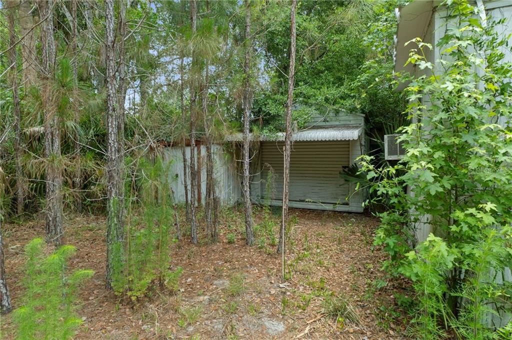 8479 W Doe LANE, HOMOSASSA, FL — photo 5 of 19