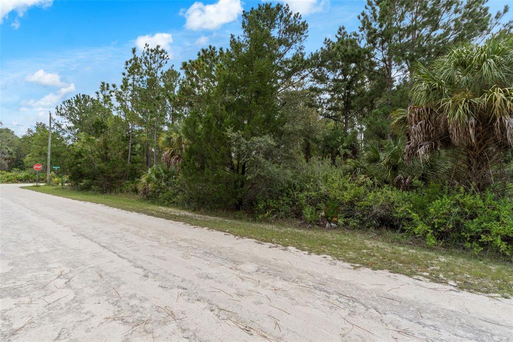18399 RAMSEY ROAD, WEEKI WACHEE, FL — photo 5 of 19
