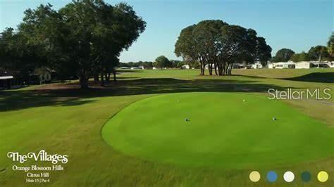 An aerial view of a golf course green surrounded by trees and residential homes — 1532 W SCHWARTZ BOULEVARD, LADY LAKE, FL