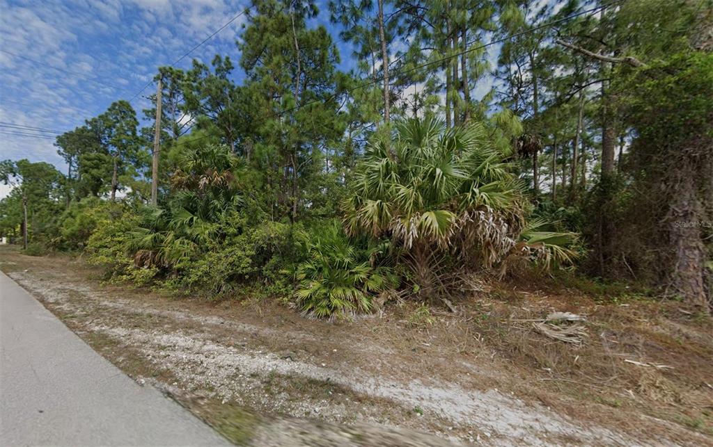 A wooded, undeveloped lot with palm trees and pines borders a paved road — 2900 WILSON BLVD N, NAPLES, FL