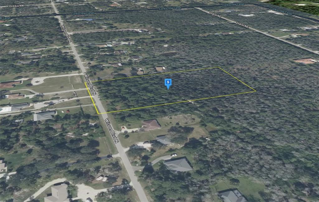 An aerial view shows a rectangular, wooded vacant lot outlined in yellow along a road — 2900 WILSON BLVD N, NAPLES, FL