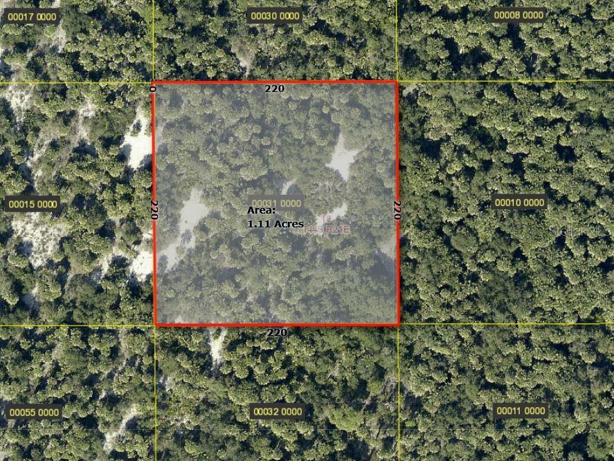 This is an aerial map showing a square plot of land measuring 220 by 220 feet — ACCESS UNDETERMINED, BOKEELIA, FL