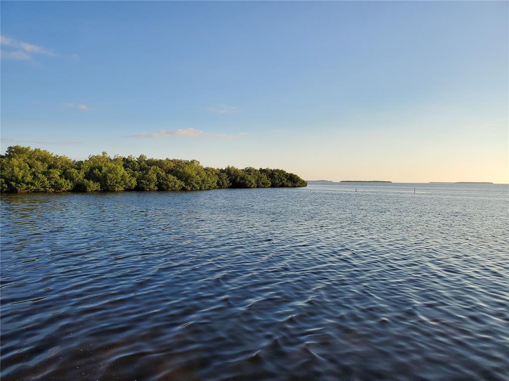 A view of a calm body of water with a dense mangrove shoreline — ACCESS UNDETERMINED, BOKEELIA, FL