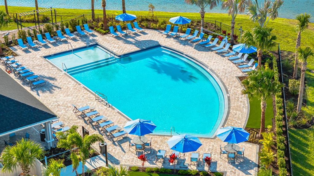 An aerial view of a swimming pool with lounge chairs and umbrellas on a paved deck — 868 STEEL DRIVE, APOLLO BEACH, FL