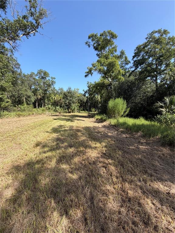 A wide, mowed grassy path leads through a wooded area under a clear blue sky — 8671 SW DEER TRAIL, ARCADIA, FL