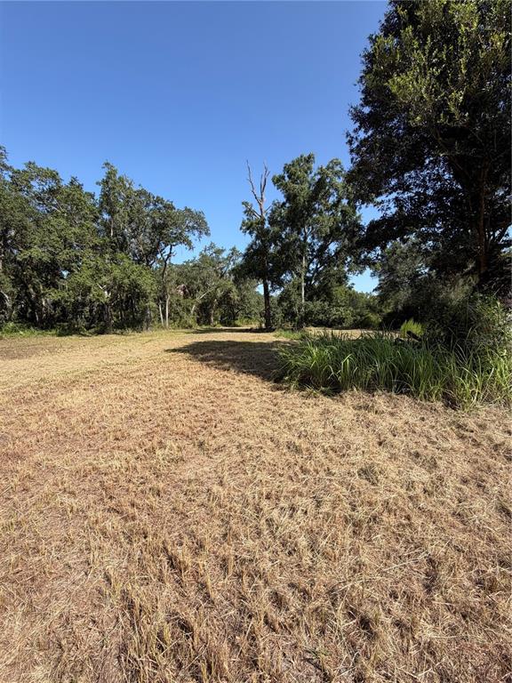 A wide, mowed grassy field is bordered by mature trees under a clear blue sky — 8671 SW DEER TRAIL, ARCADIA, FL