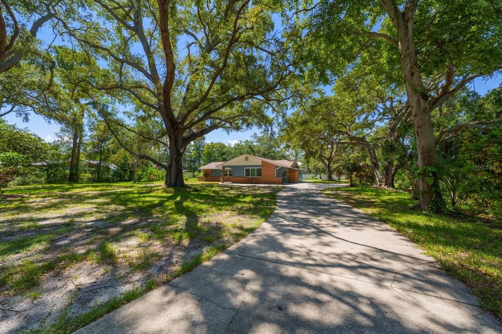 A concrete driveway leads to a single-story house with blue siding and brick accents — 13366 108TH AVENUE, LARGO, FL