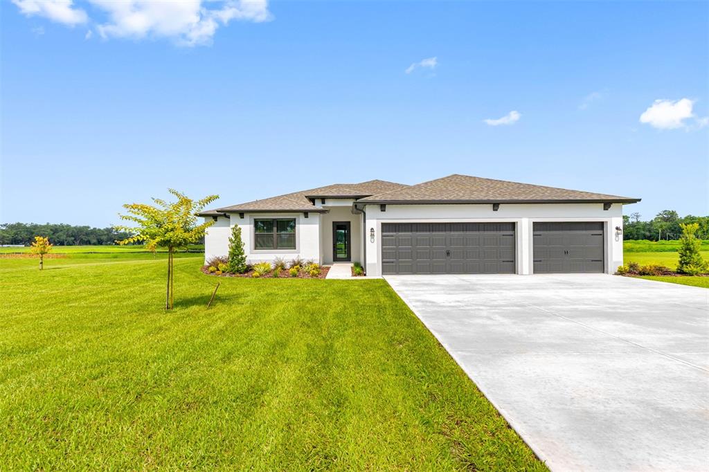 13456 LAKE GALLAGHER DRIVE