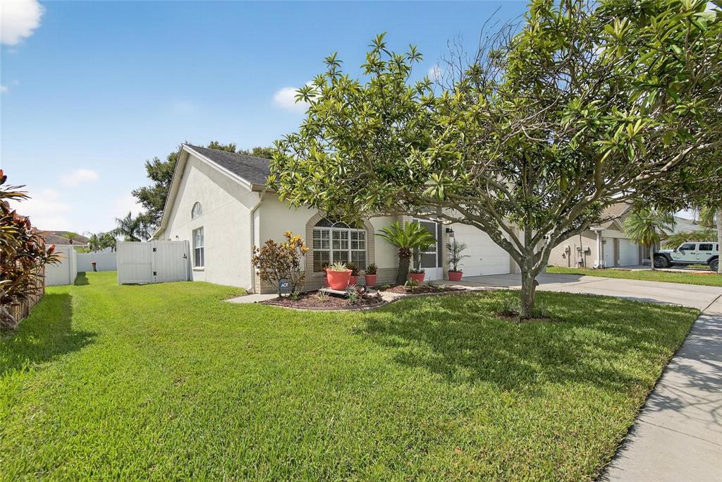 A single-story house with a white stucco exterior, a front lawn, and a large tree — 13029 PRESTWICK DRIVE, RIVERVIEW, FL