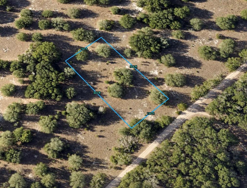 OFF NW CR 138, BRANFORD, FL — photo 2 of 4