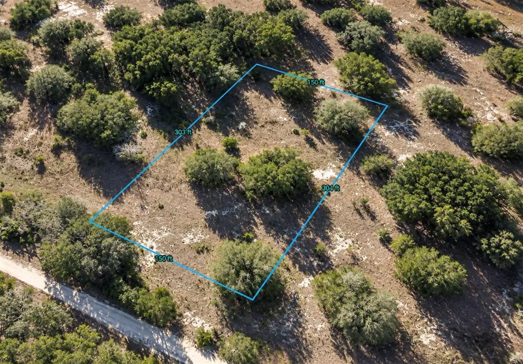 OFF NW CR 138, BRANFORD, FL — photo 3 of 4