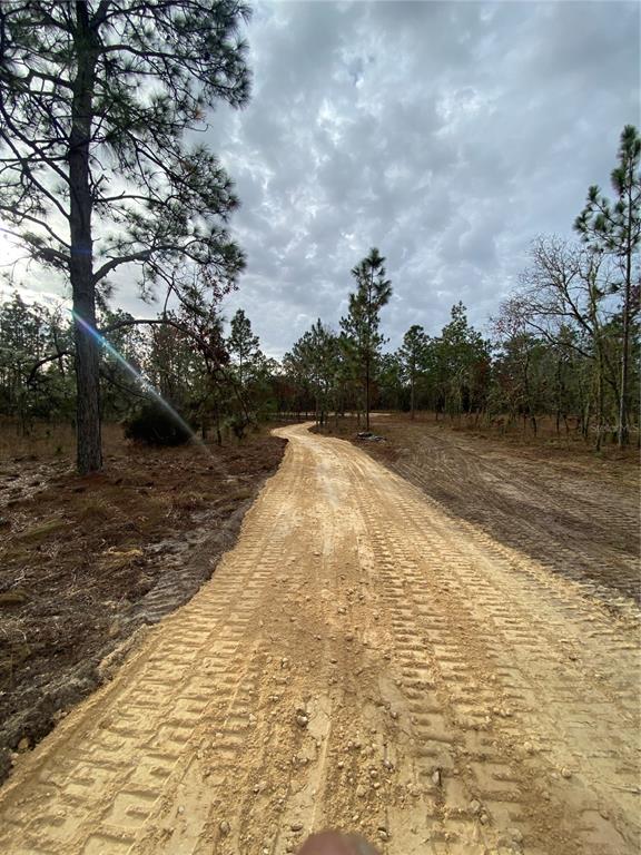SE 4TH STREET, WILLISTON, FL — photo 5 of 16