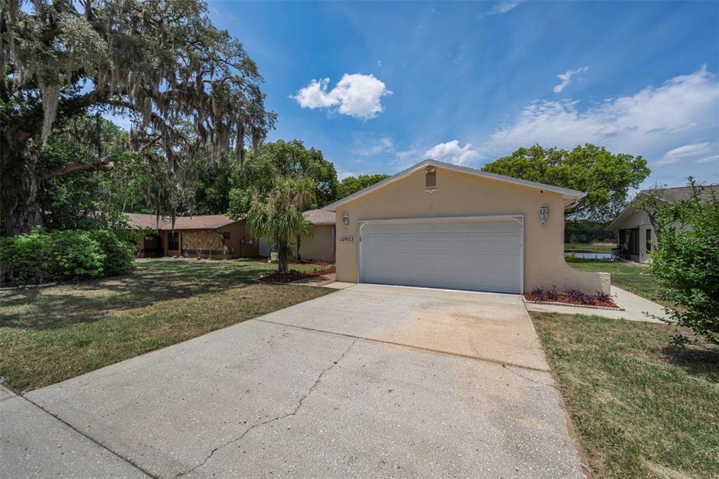 A single-story house with a white garage door, a concrete driveway, and large oak trees — 12603 PECAN TREE DRIVE, HUDSON, FL