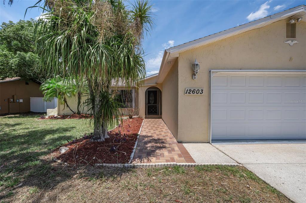 A single-story house with a beige stucco exterior, a paved walkway, and a palm tree — 12603 PECAN TREE DRIVE, HUDSON, FL