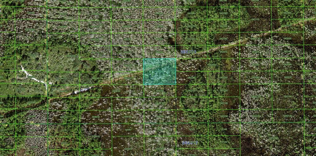 This is an aerial map showing a highlighted rectangular land parcel within a grid system — N/A, POLK CITY, FL