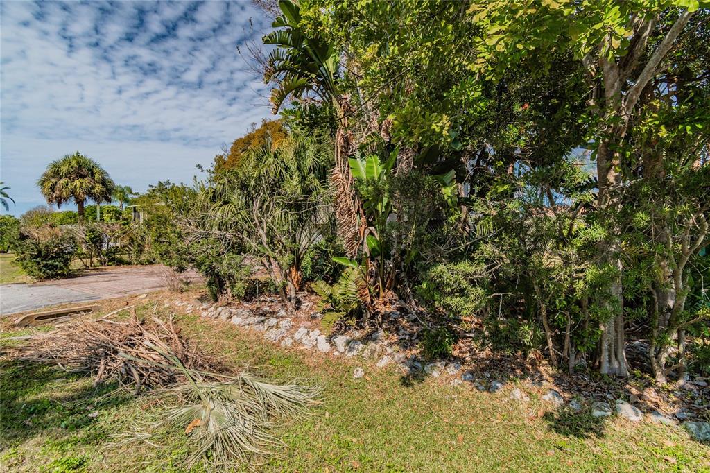 A landscaped yard features a variety of trees, shrubs, and a pile of palm fronds — 532 45TH STREET COURT W, PALMETTO, FL