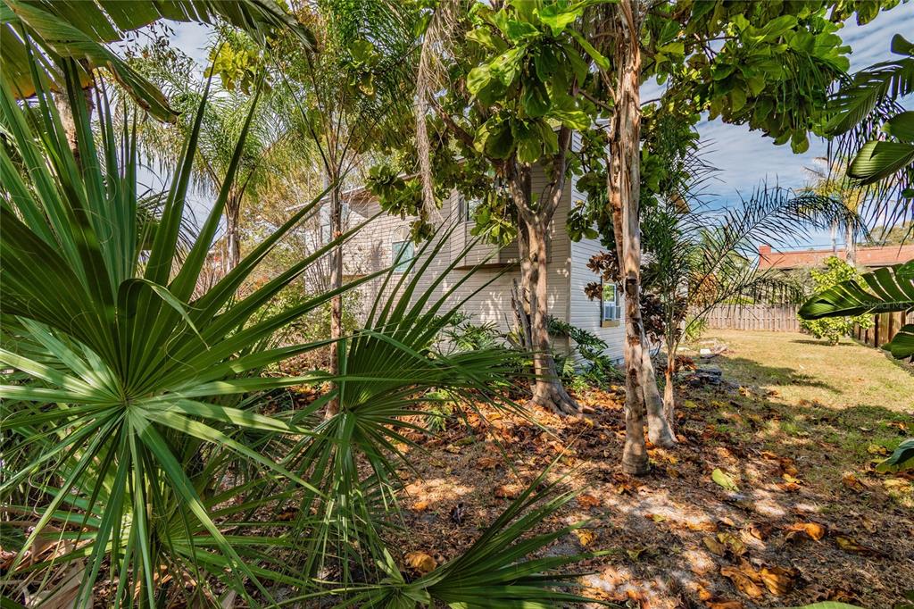 A view of a house exterior partially obscured by palm trees and other lush vegetation — 532 45TH STREET COURT W, PALMETTO, FL