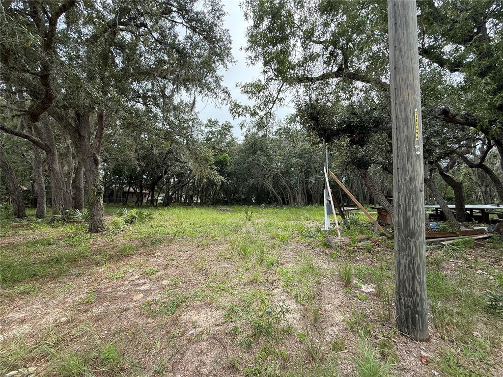 2425 N CHARLINE ROAD, AVON PARK, FL — photo 2 of 3