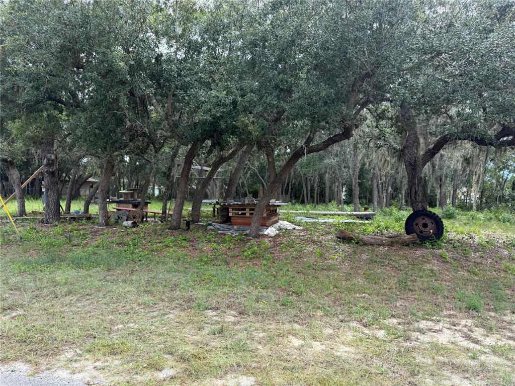 2425 N CHARLINE ROAD, AVON PARK, FL — photo 3 of 3