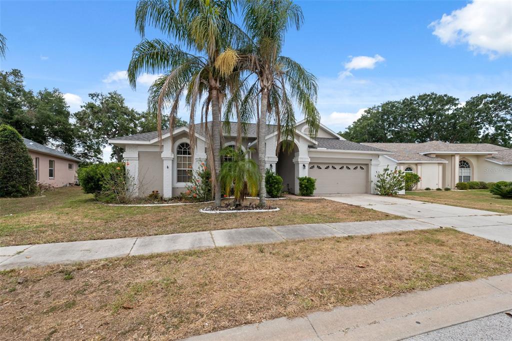 A single-story house with a two-car garage, palm trees, and a concrete driveway — 9104 WATER HAZARD DRIVE, HUDSON, FL