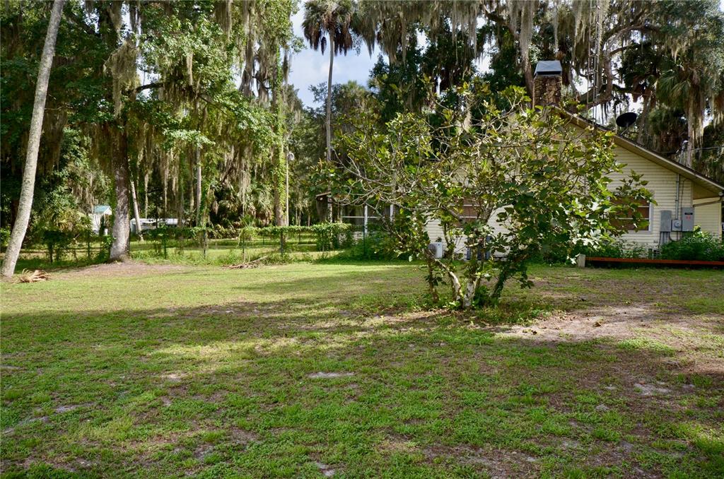 14202 SE 173RD PLACE, HAWTHORNE, FL — photo 4 of 27