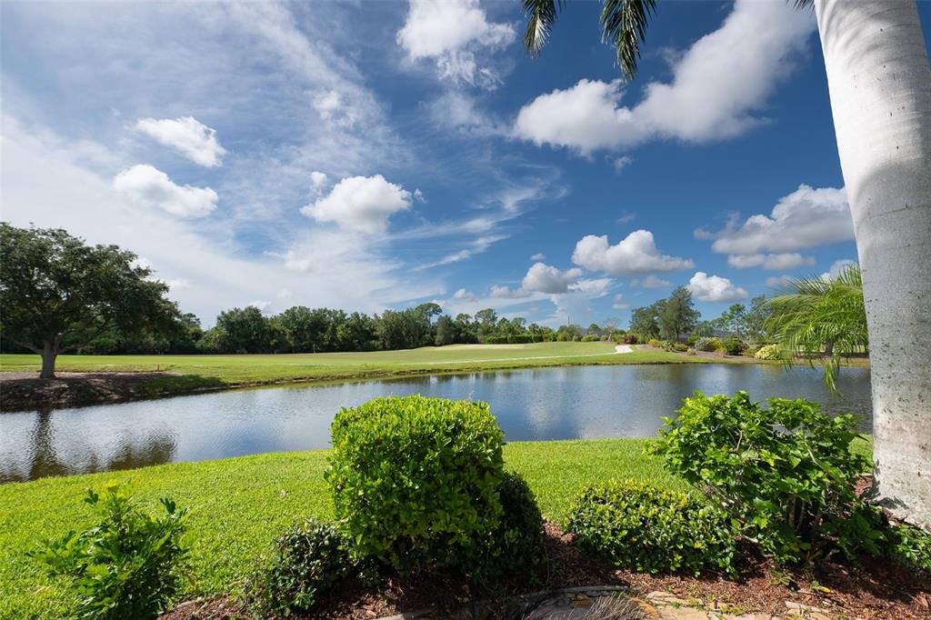 A view of a pond and golf course from a grassy yard with palm trees — 11409 SW COURTNEY DRIVE, LAKE SUZY, FL