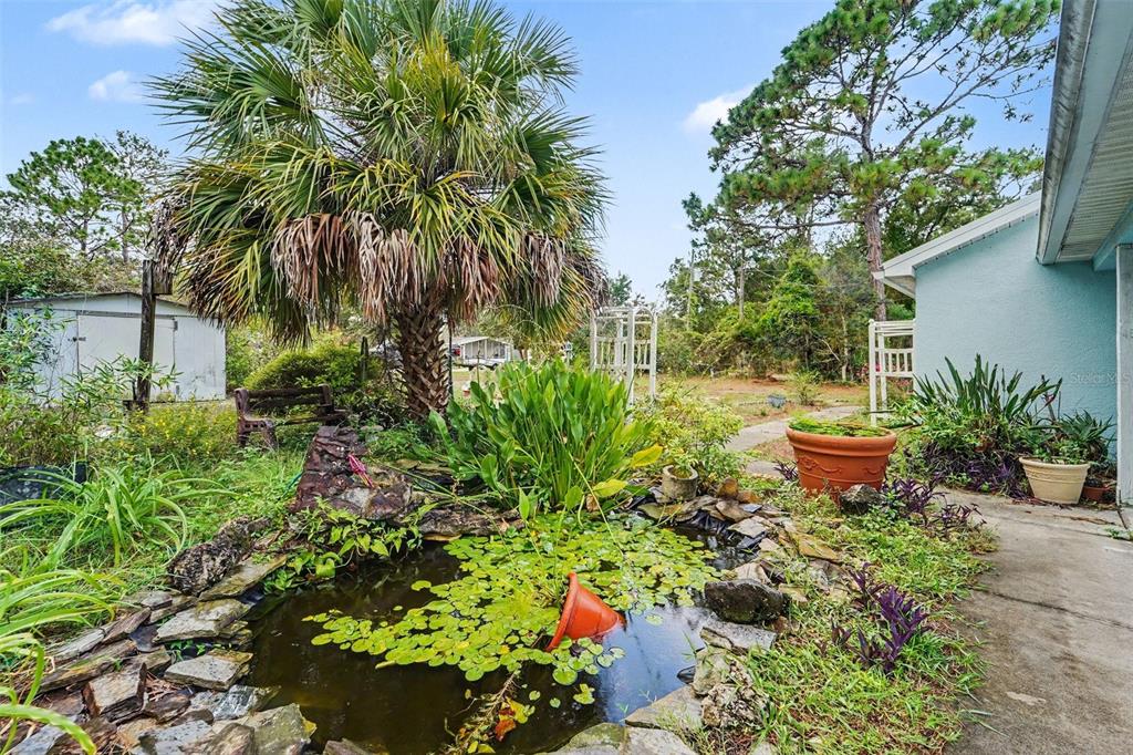 A backyard garden features a stone-lined pond, a palm tree, and a small storage shed — 7295 CENTERWOOD AVENUE, SPRING HILL, FL