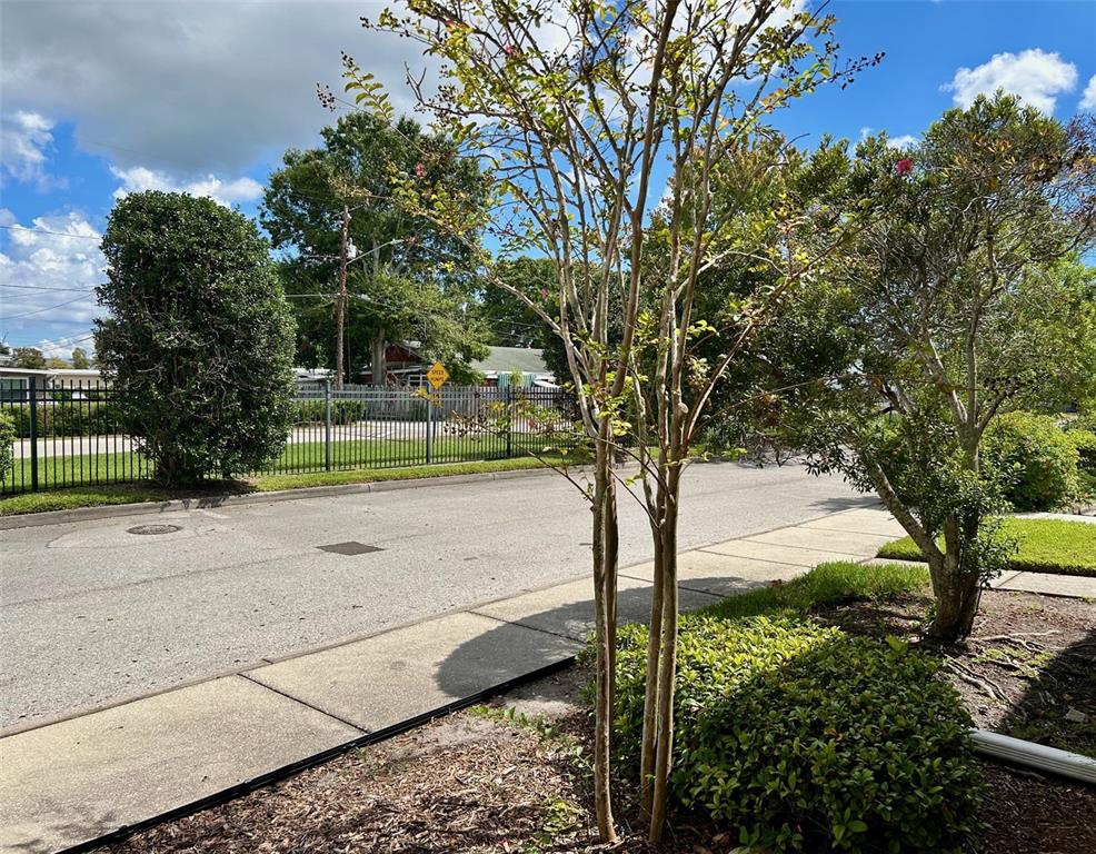 A view of a residential street with a sidewalk, trees, and a black metal fence — 2078 SUN DOWN DRIVE, CLEARWATER, FL