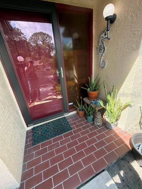4031 BLUFF OAK COURT, PALM HARBOR, FL — photo 3 of 46
