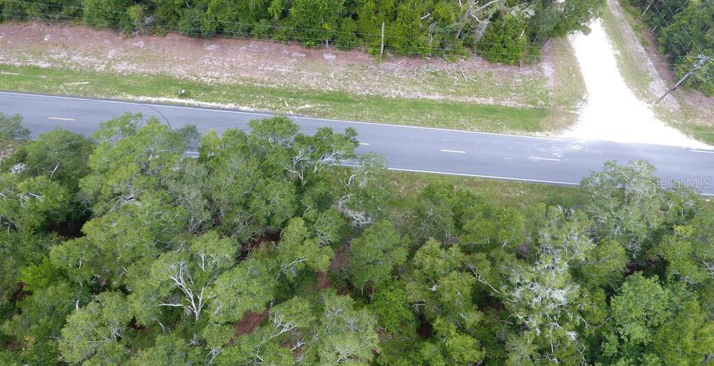 A wooded lot with tall trees and a gravel path in the foreground — 8431 NW 60 AVENUE, CHIEFLAND, FL
