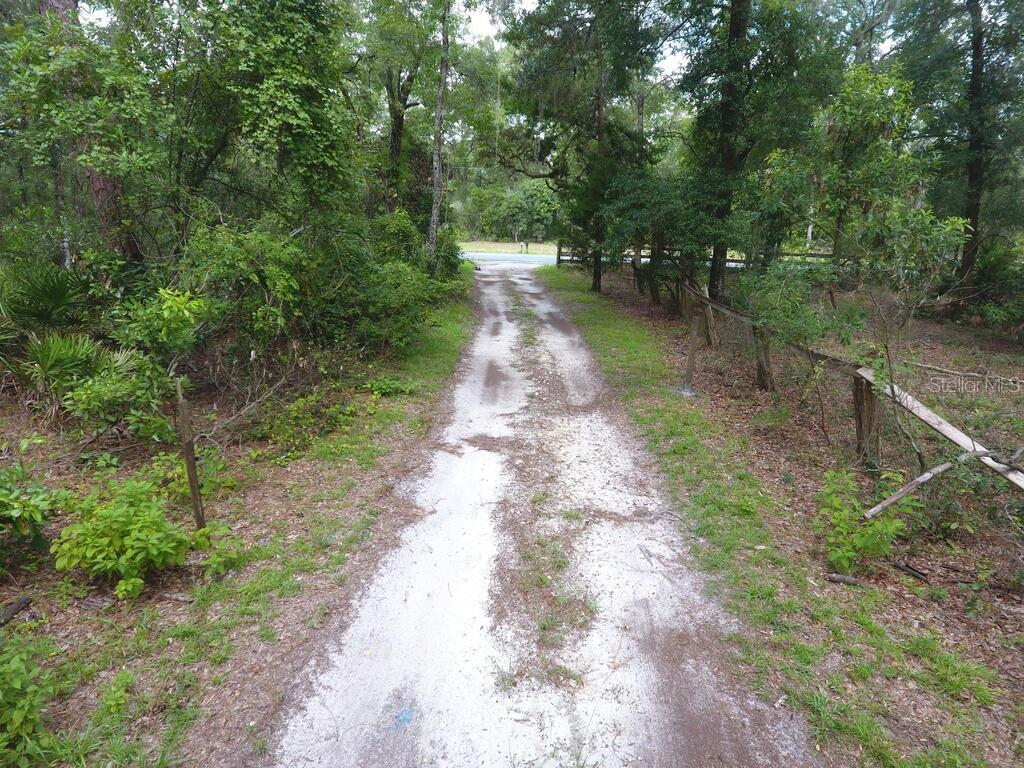 A grassy, wooded lot features scattered trees under a partly cloudy sky — 8431 NW 60 AVENUE, CHIEFLAND, FL