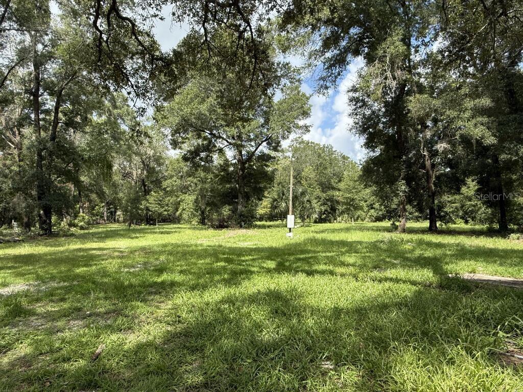 A grassy, sunlit lot is surrounded by mature trees with a utility pole in the center — 8431 NW 60 AVENUE, CHIEFLAND, FL