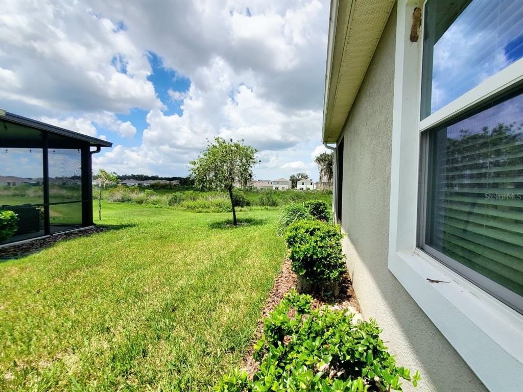 A view of a grassy backyard with a tree, a screened patio, and a house exterior — 31457 MANGO FADE WAY, SAN ANTONIO, FL