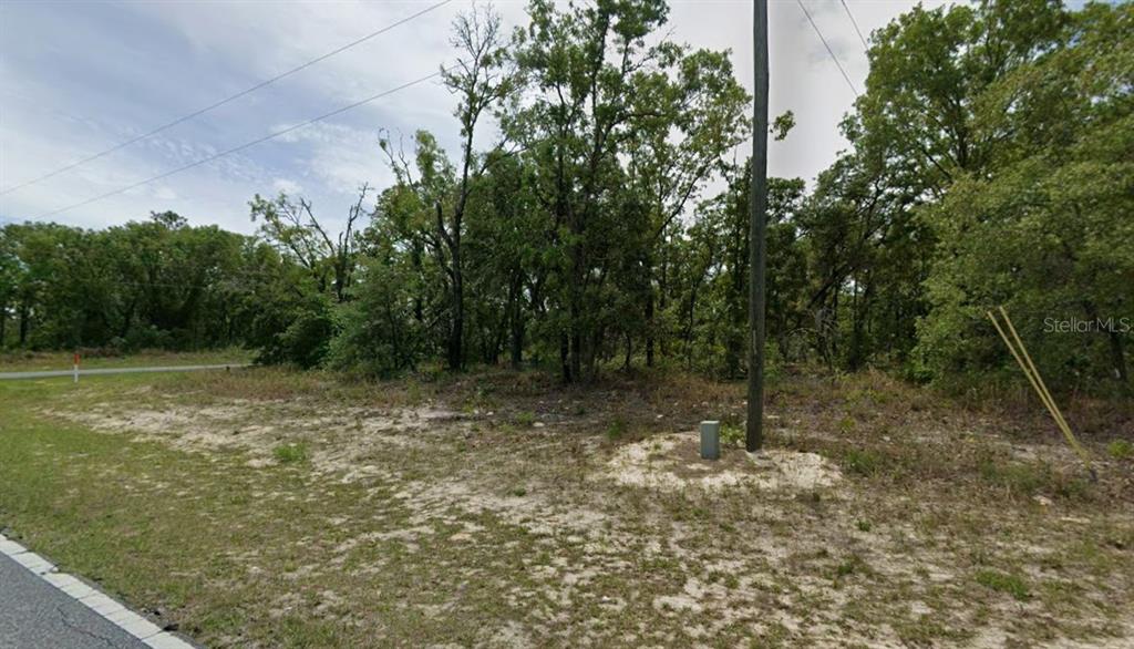 A wooded, undeveloped lot with a utility pole and power lines along a paved road — 1418 W HAMPSHIRE BOULEVARD, CITRUS SPRINGS, FL