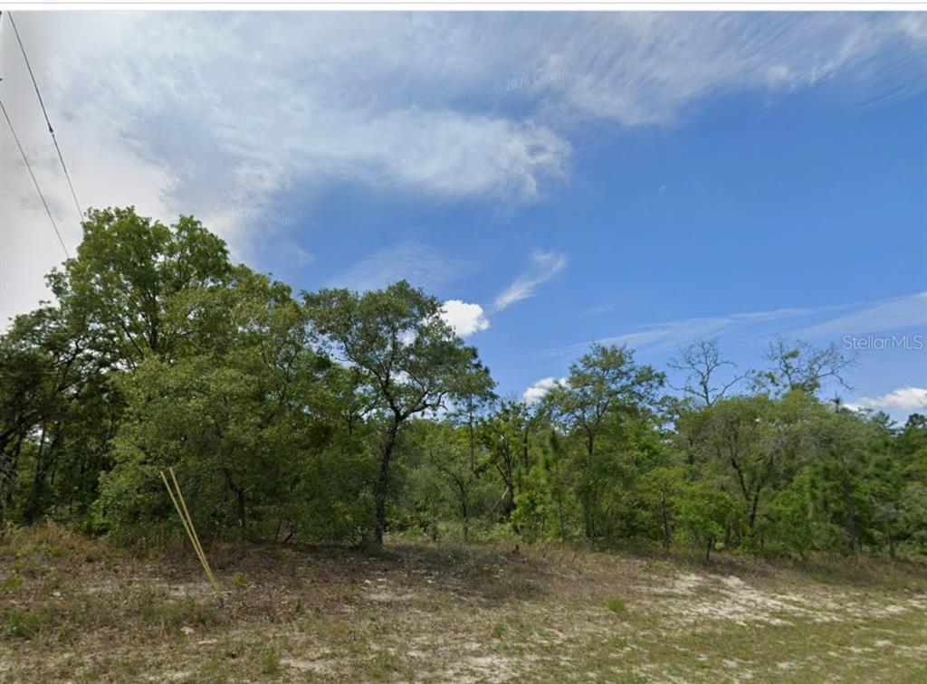 A view of a wooded, undeveloped lot with sandy ground under a blue sky — 1418 W HAMPSHIRE BOULEVARD, CITRUS SPRINGS, FL